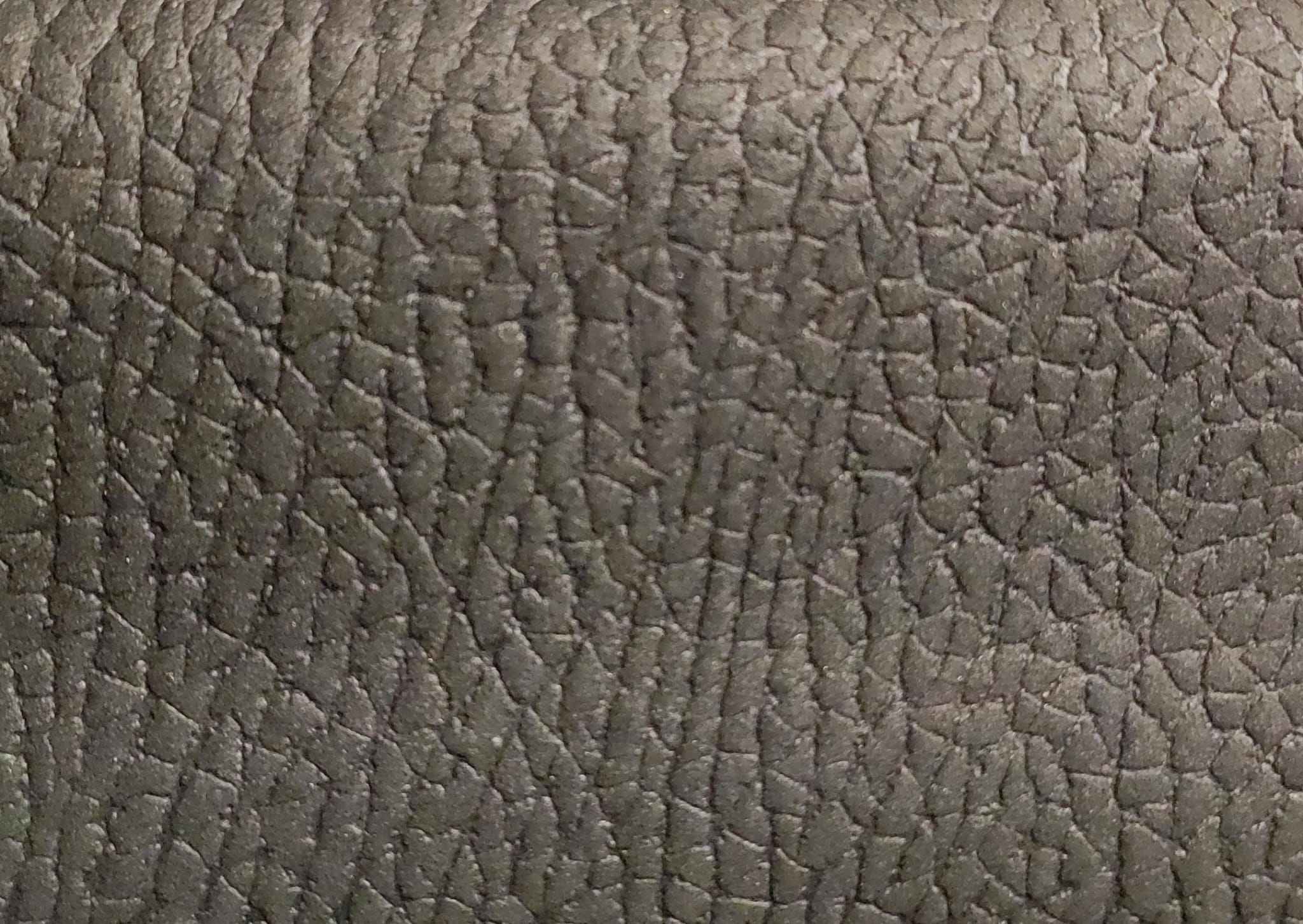 TEX 100